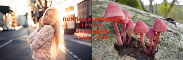 герыч Ветлуга