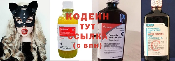 мдпв Вязьма