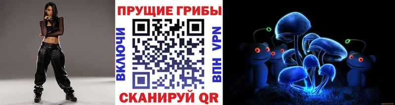 купить наркоту  kraken зеркало  Галлюциногенные грибы Cubensis  Гуково 