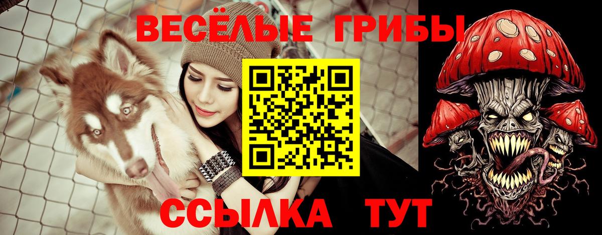 Псилоцибиновые грибы Magic Shrooms  сколько стоит  Гуково  Вход с VPN 